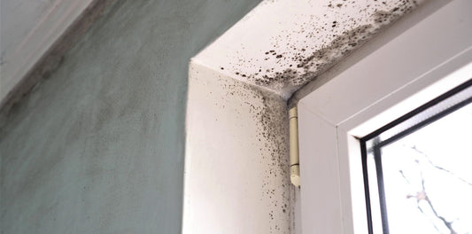 Hygrométrie et isolation : comment éviter l’humidité et la moisissure
