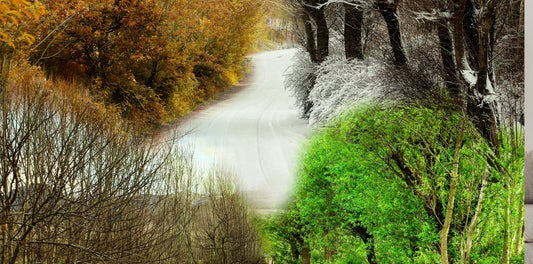 Enveloppe de bâtiment au Québec illustrant les défis d’isolation en hiver et en été